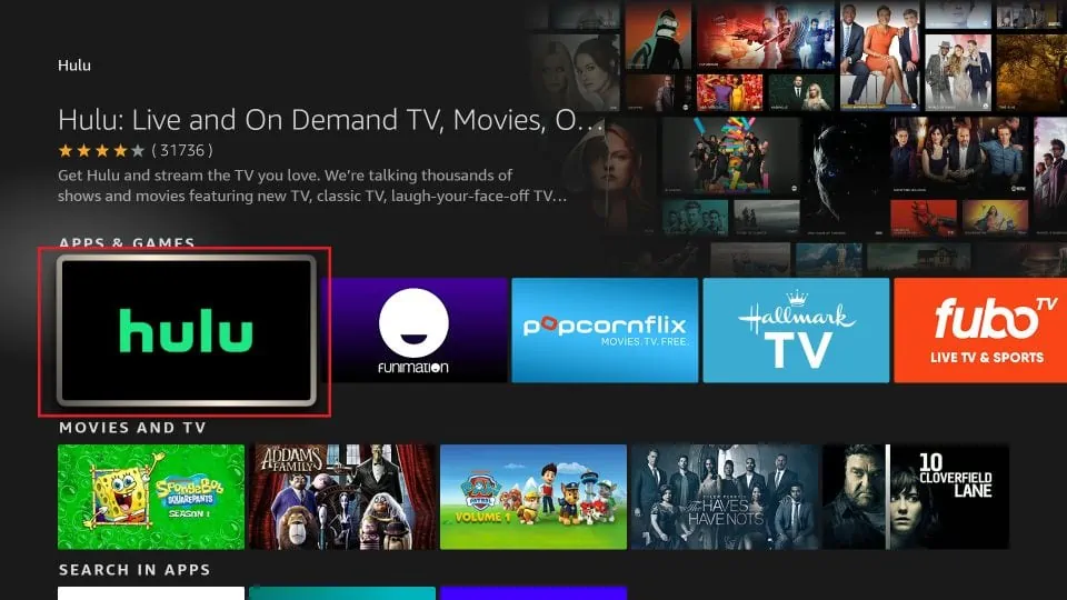 install process for hulu on firestick devices